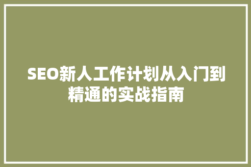 SEO新人工作计划从入门到精通的实战指南
