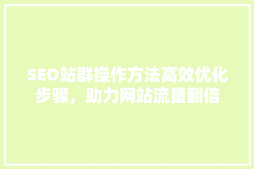 SEO站群操作方法高效优化步骤，助力网站流量翻倍