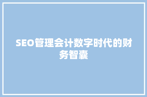 SEO管理会计数字时代的财务智囊