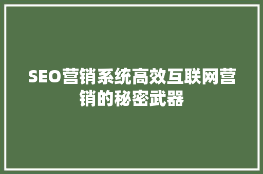 SEO营销系统高效互联网营销的秘密武器