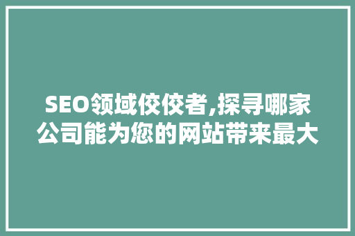 SEO领域佼佼者,探寻哪家公司能为您的网站带来最大效益