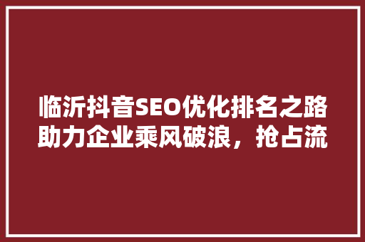 临沂抖音SEO优化排名之路助力企业乘风破浪，抢占流量高地