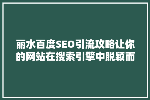 丽水百度SEO引流攻略让你的网站在搜索引擎中脱颖而出