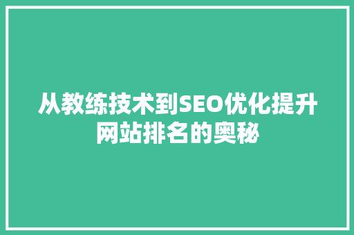 从教练技术到SEO优化提升网站排名的奥秘