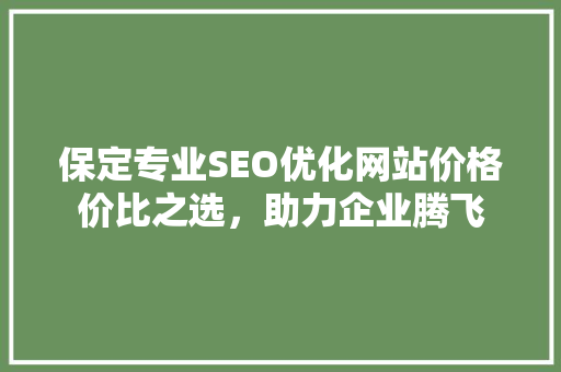 保定专业SEO优化网站价格价比之选，助力企业腾飞