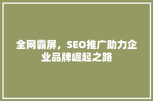 全网霸屏，SEO推广助力企业品牌崛起之路