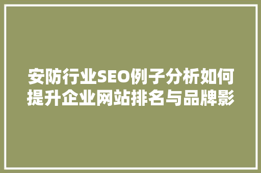 安防行业SEO例子分析如何提升企业网站排名与品牌影响力