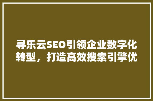寻乐云SEO引领企业数字化转型，打造高效搜索引擎优化新篇章