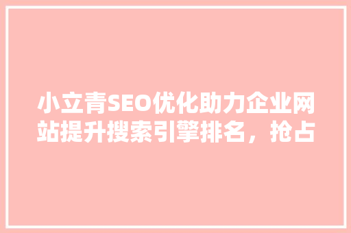 小立青SEO优化助力企业网站提升搜索引擎排名，抢占市场先机