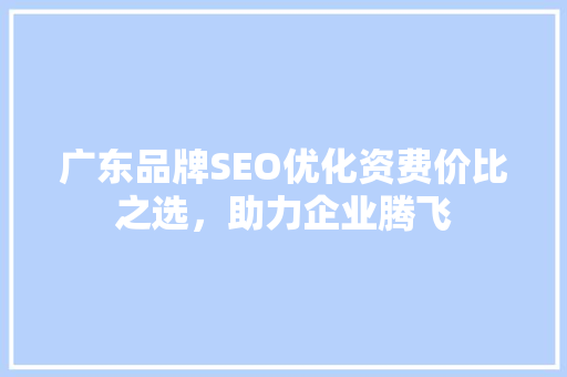 广东品牌SEO优化资费价比之选，助力企业腾飞