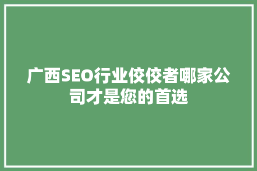 广西SEO行业佼佼者哪家公司才是您的首选