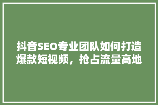 抖音SEO专业团队如何打造爆款短视频，抢占流量高地