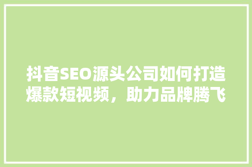 抖音SEO源头公司如何打造爆款短视频，助力品牌腾飞