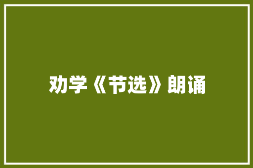 JavaScript分享代码的艺术构建高效、可维护的代码生态