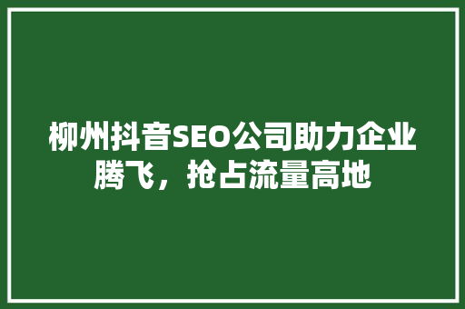 柳州抖音SEO公司助力企业腾飞，抢占流量高地