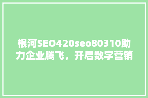 根河SEO420seo80310助力企业腾飞，开启数字营销新篇章