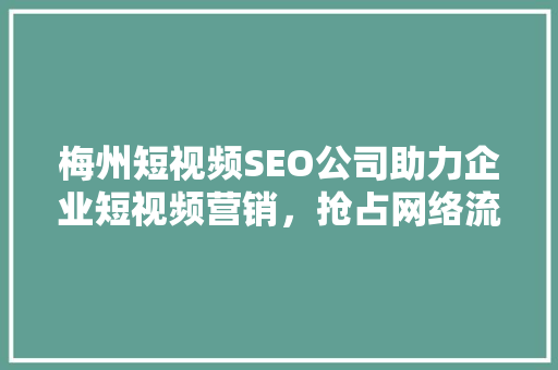 梅州短视频SEO公司助力企业短视频营销，抢占网络流量高地