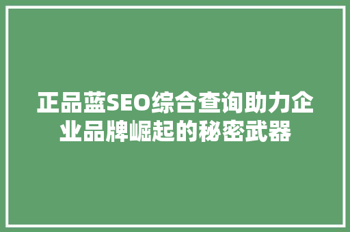 正品蓝SEO综合查询助力企业品牌崛起的秘密武器
