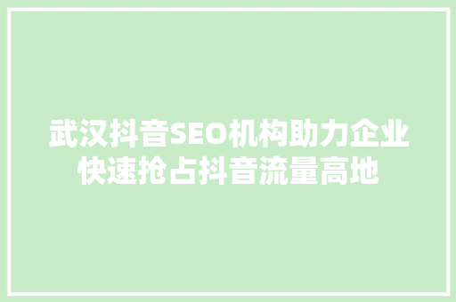 武汉抖音SEO机构助力企业快速抢占抖音流量高地