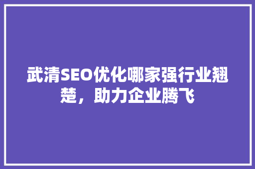 武清SEO优化哪家强行业翘楚，助力企业腾飞