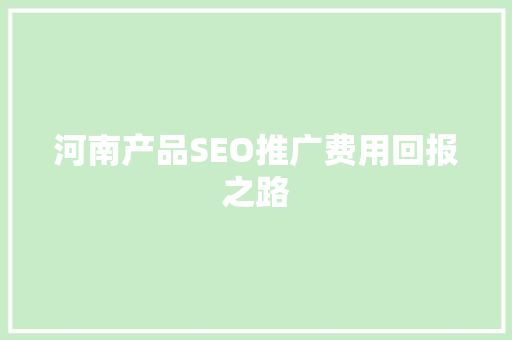 河南产品SEO推广费用回报之路