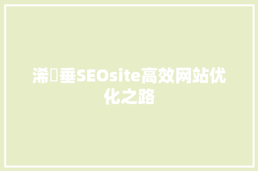 浠樿垂SEOsite高效网站优化之路