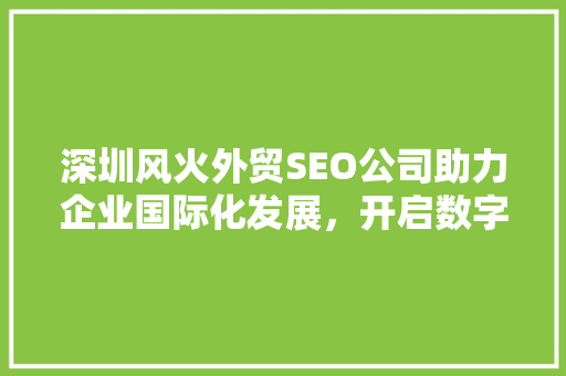 深圳风火外贸SEO公司助力企业国际化发展，开启数字营销新篇章