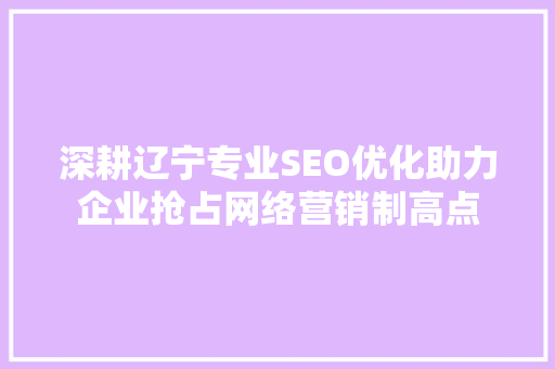 深耕辽宁专业SEO优化助力企业抢占网络营销制高点