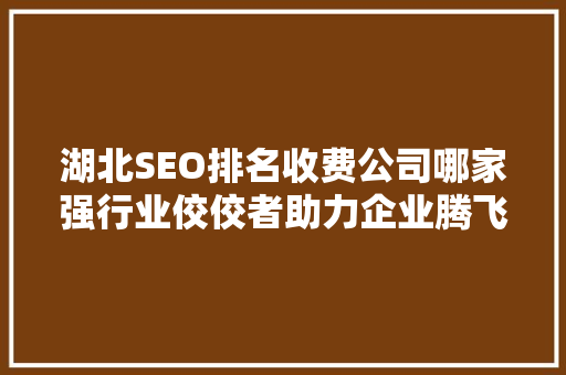 湖北SEO排名收费公司哪家强行业佼佼者助力企业腾飞