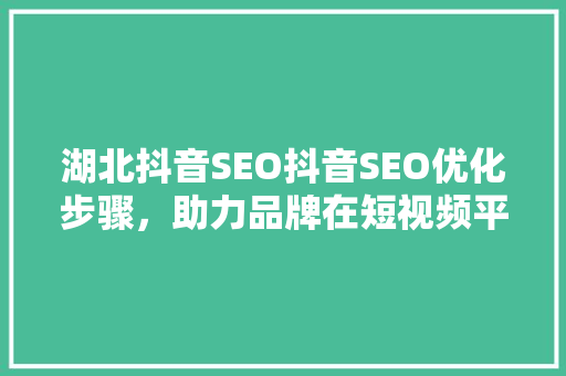 湖北抖音SEO抖音SEO优化步骤，助力品牌在短视频平台脱颖而出