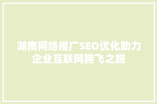 湖南网络推广SEO优化助力企业互联网腾飞之路