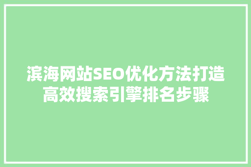 滨海网站SEO优化方法打造高效搜索引擎排名步骤