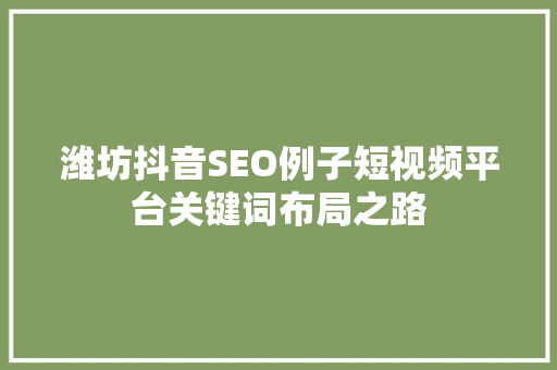 潍坊抖音SEO例子短视频平台关键词布局之路