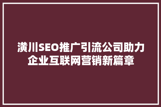 潢川SEO推广引流公司助力企业互联网营销新篇章