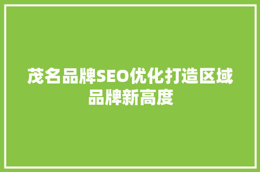 茂名品牌SEO优化打造区域品牌新高度
