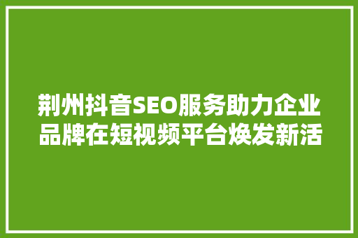 荆州抖音SEO服务助力企业品牌在短视频平台焕发新活力