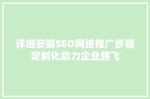详细安徽SEO网络推广步骤定制化助力企业腾飞