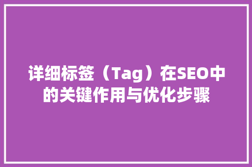 详细标签（Tag）在SEO中的关键作用与优化步骤