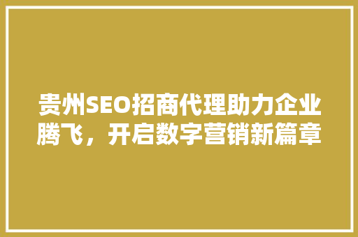 贵州SEO招商代理助力企业腾飞，开启数字营销新篇章