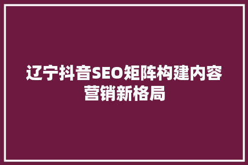 辽宁抖音SEO矩阵构建内容营销新格局