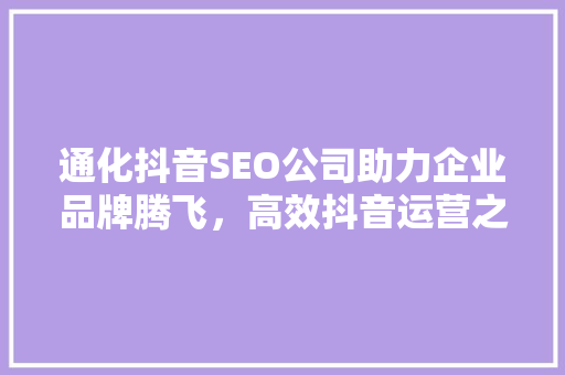 通化抖音SEO公司助力企业品牌腾飞，高效抖音运营之路