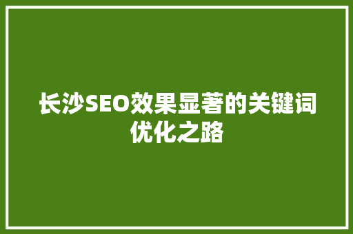 长沙SEO效果显著的关键词优化之路