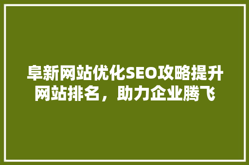 阜新网站优化SEO攻略提升网站排名，助力企业腾飞