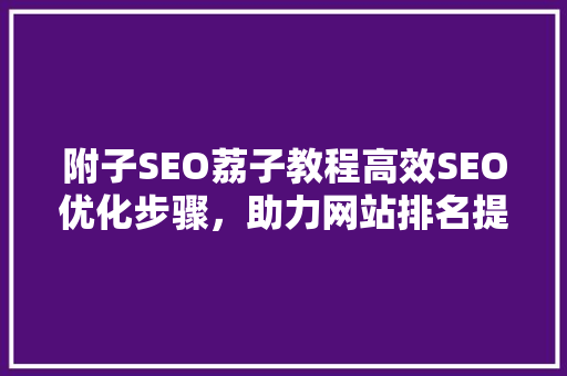 附子SEO荔子教程高效SEO优化步骤，助力网站排名提升