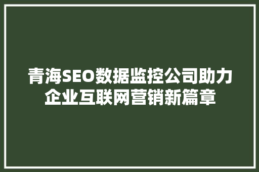 青海SEO数据监控公司助力企业互联网营销新篇章