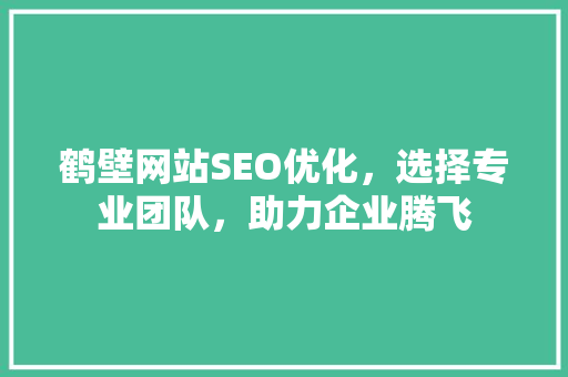 鹤壁网站SEO优化，选择专业团队，助力企业腾飞