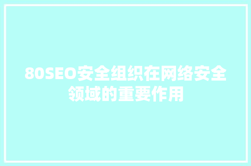 80SEO安全组织在网络安全领域的重要作用