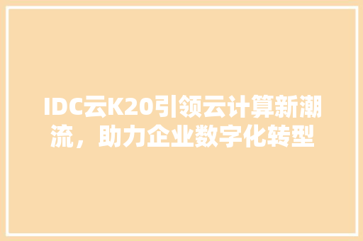 IDC云K20引领云计算新潮流，助力企业数字化转型