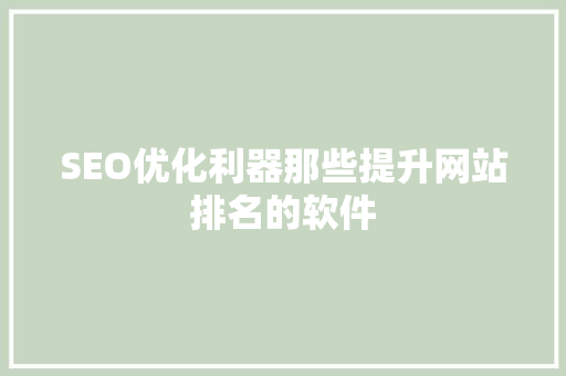 SEO优化利器那些提升网站排名的软件