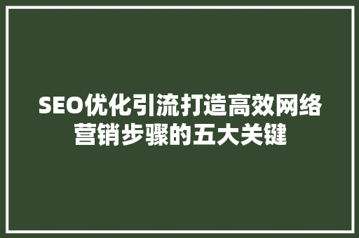 SEO优化引流打造高效网络营销步骤的五大关键